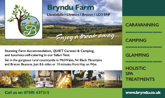 Bryndu Farm Camping and Glamping